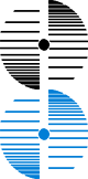 Primary Raster logo